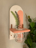 Maranta Moon Creations - White & Peach Aesthetic with Fern Frond Propagation Art Hanging